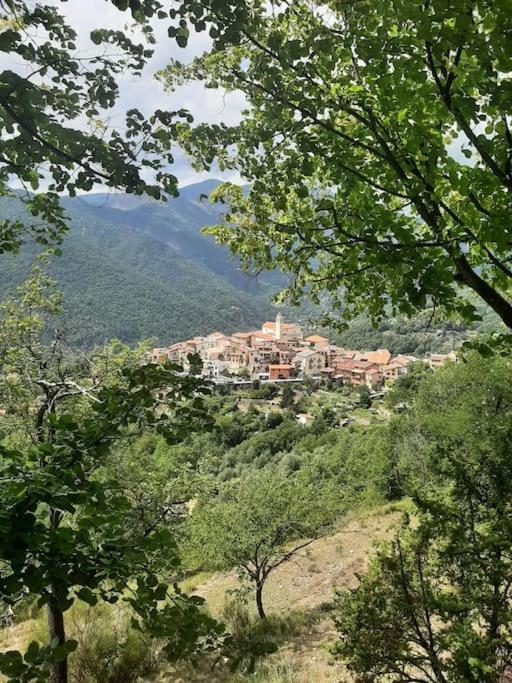 Maison Boheme Vesubie La Bollène-Vésubie Buitenkant foto